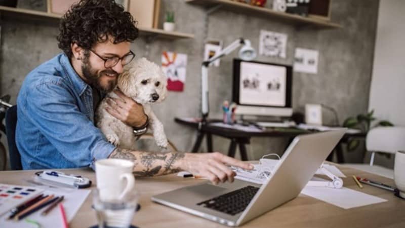 Homem sentado em frente a mesa com computador, cachorro no colo, sentado em frente ao computador, escritório em casa, estudo em casa, home office, prazer em fazer o que ama