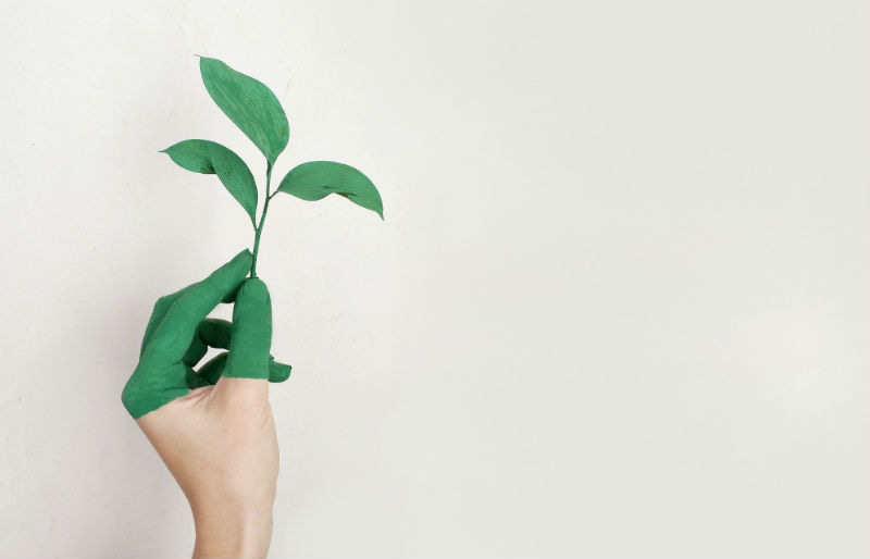 Uma imagem contendo vestuário. Mão pegando uma planta. Como ser um aluno sustentável?
